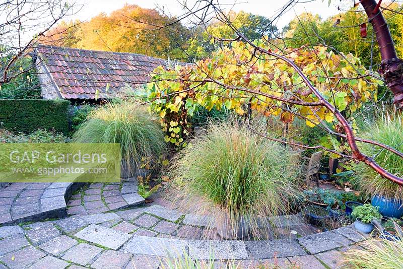Sunken garden with pots of Chionochloa conspicua and a vine covered arbour over a dining area at Barn House, Chepstow, UK. 