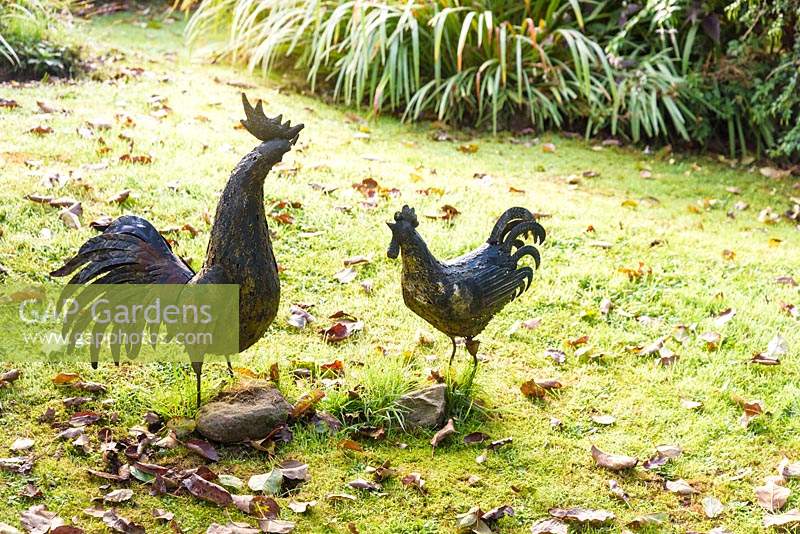 Metal cockerel and hen on a leaf strewn lawn in October. 