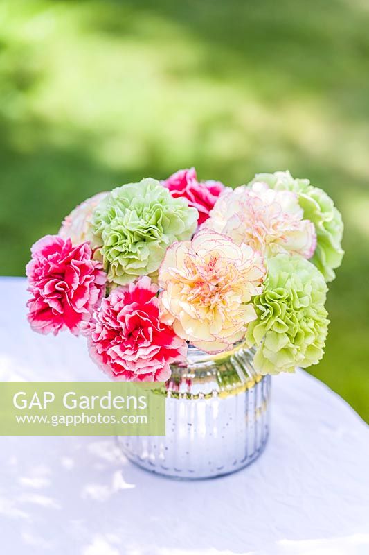 Mixed arrangement of Perpetual carnations.