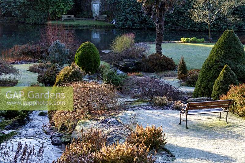 Frosted shrubs and topiary in winter garden. Kilver Court, Somerset, UK.  Designed by Roger Saul of Mulberry.
