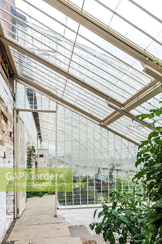 Restored iron-framed curvilinear glasshouses. Wildegoose Nursery, The Walled Garden, Lower Millichope, Munslow, Shropshire, UK.
