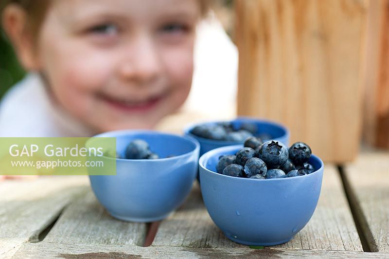 Girl smiling behind harvested blueberries in a bowl. 