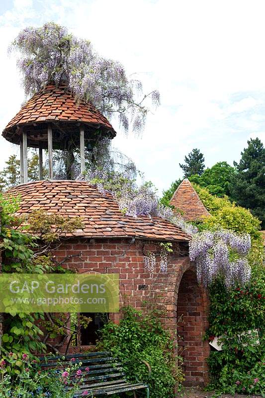 Folly tower covered in Wisteria at Stone House Cottage Garden, June