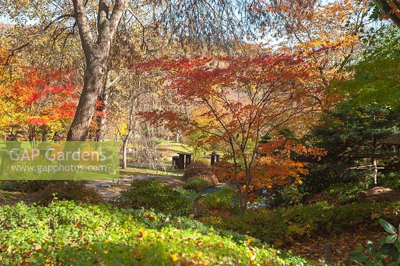 Stone sidewalk 'tobishi' in autumnal Japanese garden 