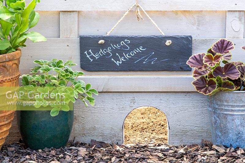 Hedgehog hole in fence gravel board, marked with sign