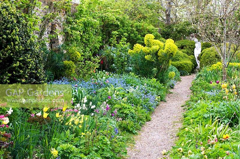 Gravel pathway through spring-flowering borders at Charleston, East Sussex. 