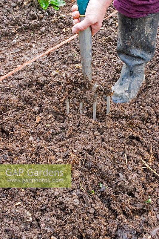 Person using a garden fork to incorporate compost into  a vegetable bed.