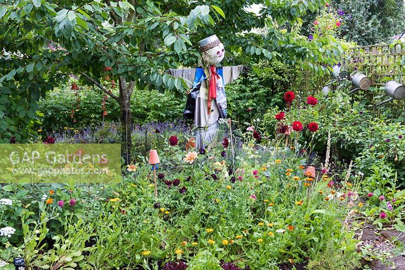 A scarecrow beside a bed of cut flowers, dahlias and marigolds.