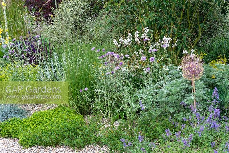A drought tolerant gravel garden featuring a range of plants adapted to cope with dry spells. Beth Chatto: The Drought Resistant Garden, designed by David Ward, RHS Hampton Court Garden Palace Show, 2019.

