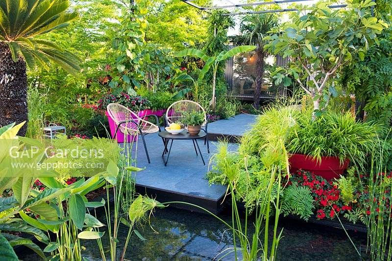 Seating area in the garden with tender planting in pots by the pond with aquatic plants Equisetum hyemale, Cyperus and Thalia. B and Q Bursting Busy Lizzie Garden at RHS Hampton Court Palace Garden Festival Show 2018