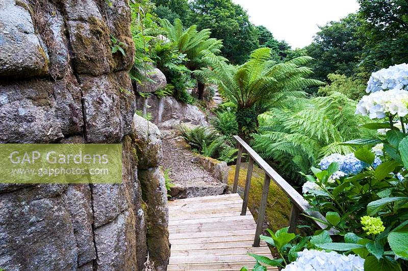 Large granite outcrops are surrounded by lush ferns including Dicksonia antartic - Tree ferns.
