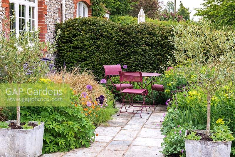 Flanked by olive trees in pots, a stone path leading to seating area edged in euphorbia, hardy geraniums, geums, centaureas, alliums, irises, box balls and pheasant's tail grasses.