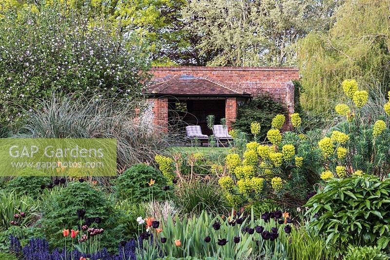 Country garden with a brick garden room is glimpsed through Euphorbia characias, milkweed or spurge.