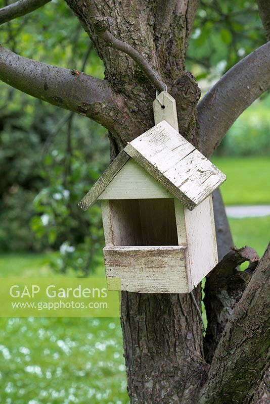 A wooden nesting box is hung from an old apple tree.