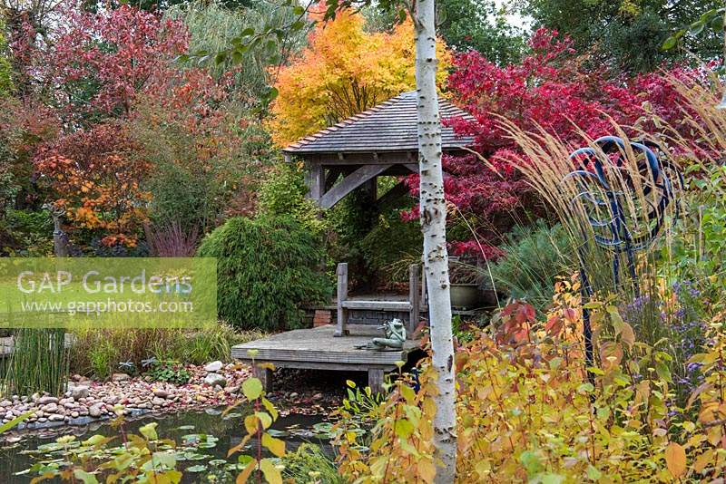 Seen through dogwoods and birch trunk beside pond, summerhouse and deck with Acer palmatum 'Ozakazuki' and golden Acer palmatum 'Eddisbury', the coral bark maple.