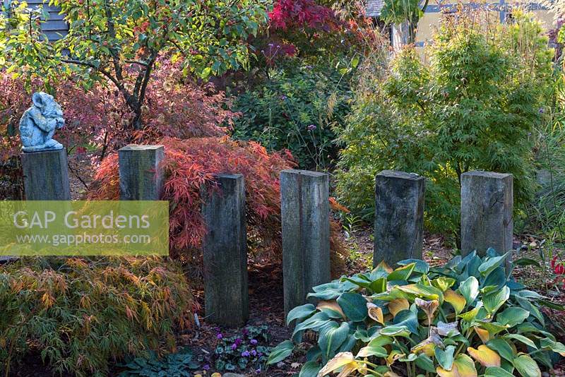 Backlit maples, grasses and crab apple tree surround small hollow edged in short wooden uprights.