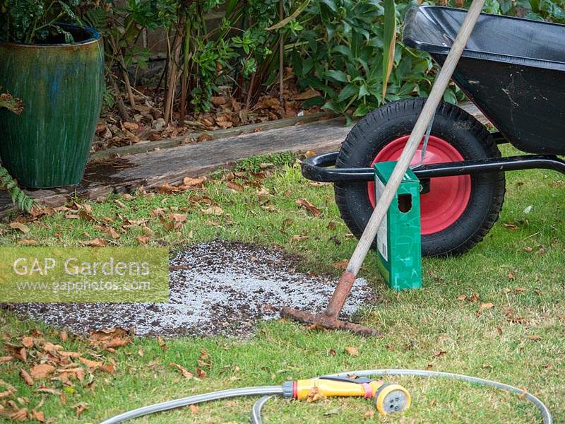 Sow and water in grass seed on bare patches in lawn.  