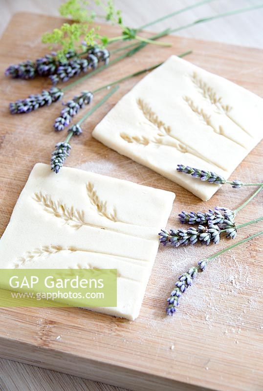Salt dough with lavender flower impressions -  cut into individual tile shapes 