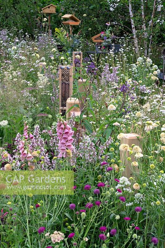 Fencing posts with insect hotels along perennial border. RHS Hampton Court Festival 2019.