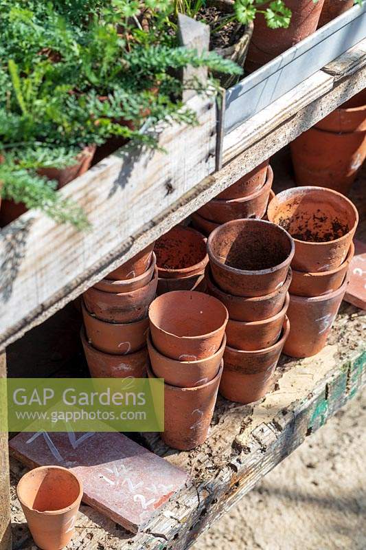 Garden Cottage at Gunwalloe in Cornwall.  Cottage garden in autumn. Neatly stacked terracotta pots showing pot sizes.