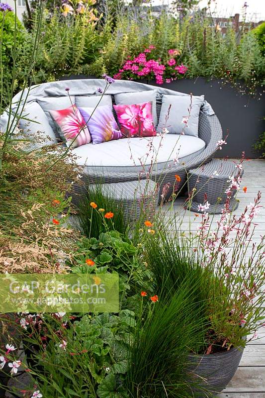 Roof terrace with wood decking and garden sofa with built in shade, with perennials and annuals forming a natural screen for privacy. Planting includes Gaura lindheimeri Whirling Butterflies, Juncus maritimus, Verbena bonariensis, Pink Bedding Geraniums, Olea europaea, Geum Totally Tangerine.