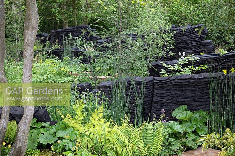 View of burnt oak structures representing rock formation and lush green planting. Sponsor: M and G Investments. Garden: The M and G Garden. Chelsea Flower Show 2019.