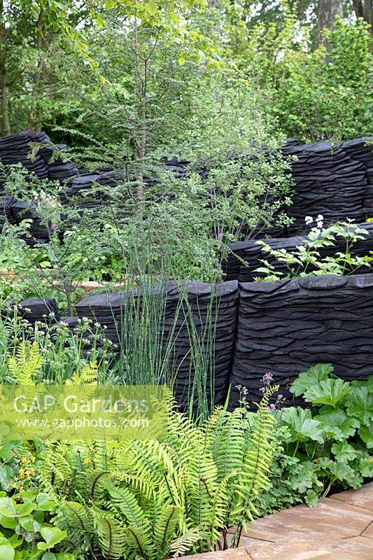 View of burnt oak structures representing rock formation and lush green planting. Garden: The M and G Garden. Sponsor: M and G Investments. Chelsea Flower Show 2019.