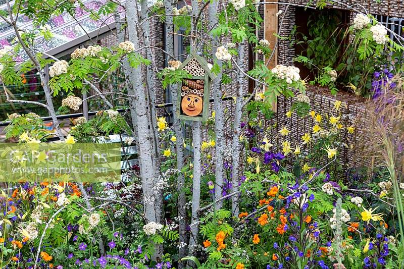 The Childrens garden with lots of colurful planting and a wildlife bug house in the Montessori Centenary Children's Garden at RHS Chelsea Flower Show 2019 