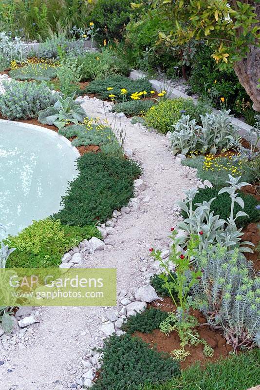 The Dubai Majlis Garden: Crushed White Limestone path along pool. Sponsors: Dubai. Rhs Chelsea flower show 2019.
