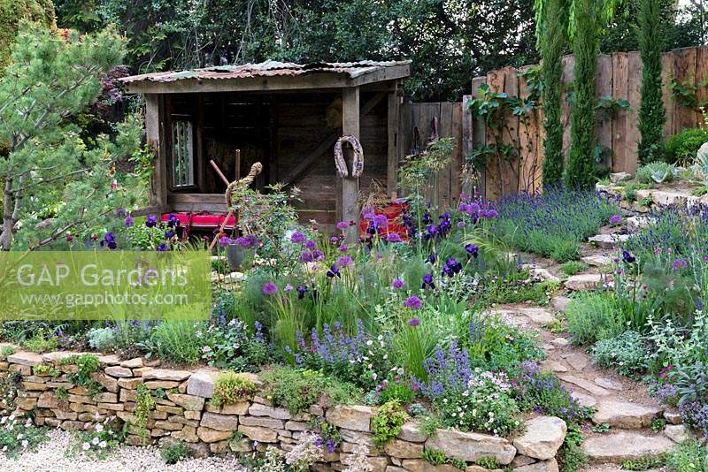 The Donkey Sanctuary: Donkeys Matter. Stone path leading to rocky garden. Colourful planting of alliums, lavander, Iris, Nepeta and geraniums around the well in raised bed with dry stone wall. Timber shelter area in the background. Sponsors: Donkey Sanctuary. Rhs Chelsea flower show 2019.