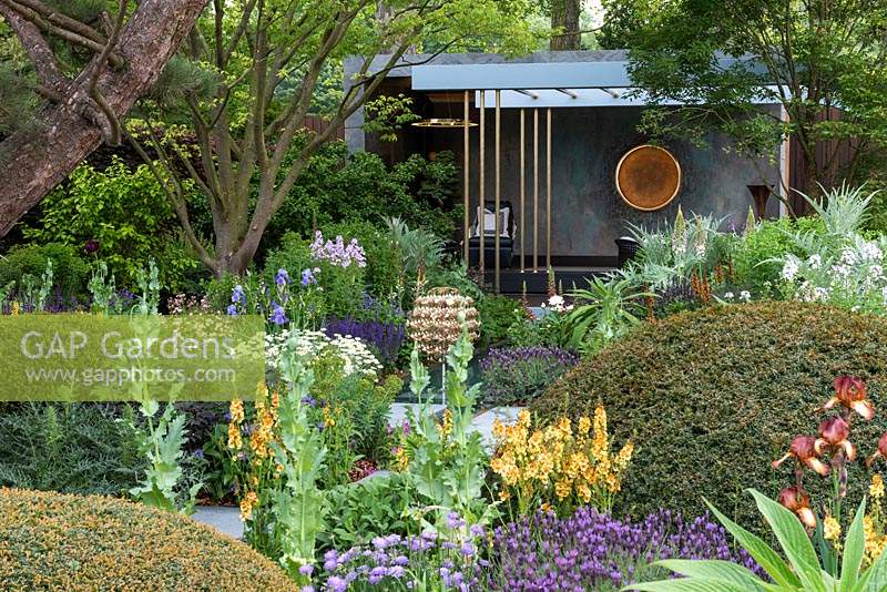 The Morgan Stanley Garden. An herbaceous rich space punctuated by large yew topiary domes and specimen trees, a path leading to a relaxation pod for quiet reflection. Sponsor:  Morgan Stanley. RHS Chelsea Flower Show 2019.