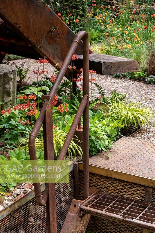 Walker's Forgotten Quarry' Garden. RHS Chelsea Flower Show, 2019.  Iron steps leading up to the garden with Primula 'Inverewe'