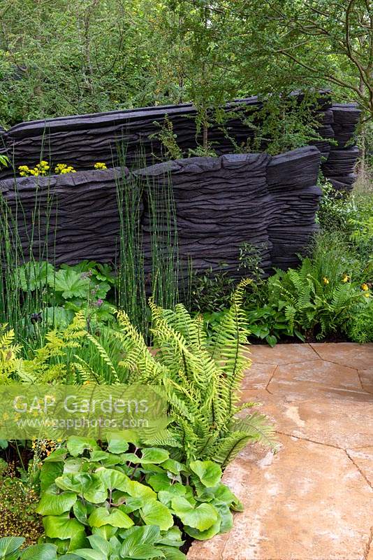 The M and G Garden, Gold  and  Best in Show, RHS Chelsea Flower Show 2019. Woodland planting including Dryopteris cycadina and Asarum europaeum 