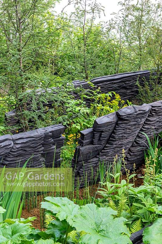 Burnt oak sculptures by Johnny Woodford set amongst lush green plants including  - The M and G Garden, RHS Chelsea Flower Show 2019