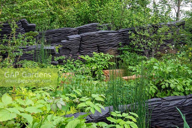 Lush green woodland planting - The M and G Garden, RHS Chelsea Flower Show 2019