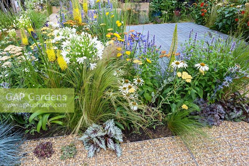 Eremurus stenophyllus, Agastache 'Blackadder', Achillea 'Terracotta'remurus, Echinacea 'White Swan' in summer border