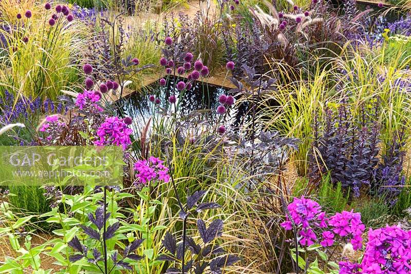 Mixed planting among  water pools - The One Show Garden - RHS Hampton Court Flower Show 2014 