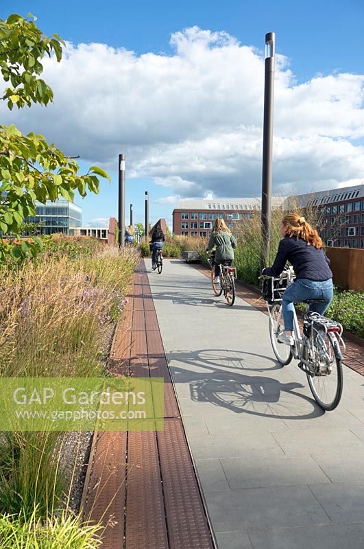 Cycling over the Paleisbrug inbetween city buildings.