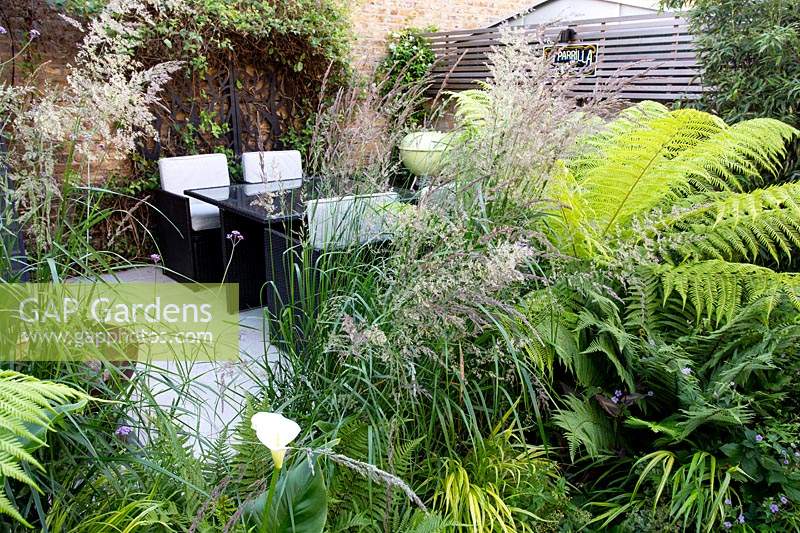 View towards a patio and dining area in small shade tolerant garden in London with a green theme. Planting includes Calamagrostis x acutiflora Karl Foerster, Dicksonia antarctica, Zantedeschia aethiopica.