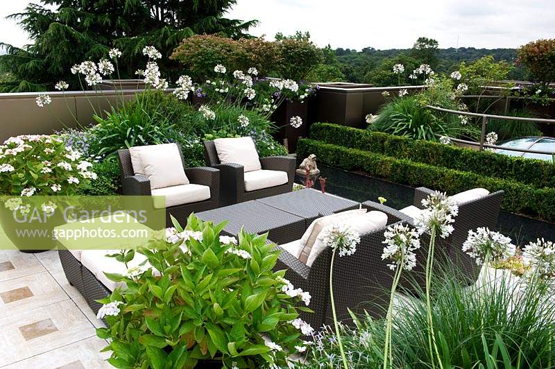 Contemporary urban roof garden with seating area and table, surrounded by containers of Agapanthus and Hydrangea. 
