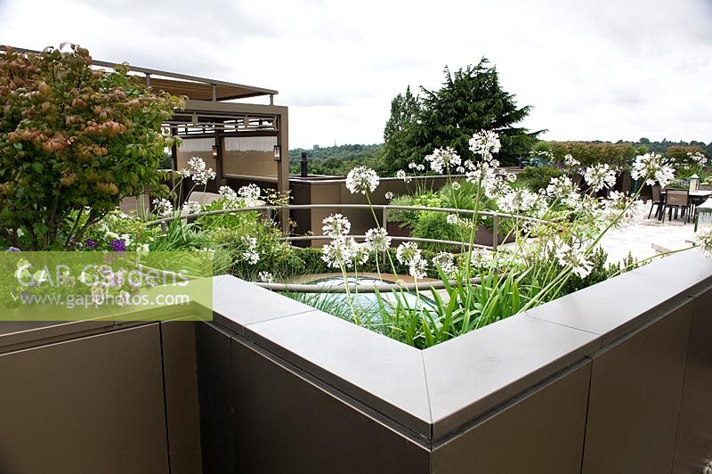 View over urban, roof garden showing edge of garden with coping with white flowers Agapanthus beyond