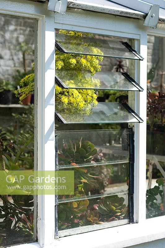 Louvered window vent in a greenhouse