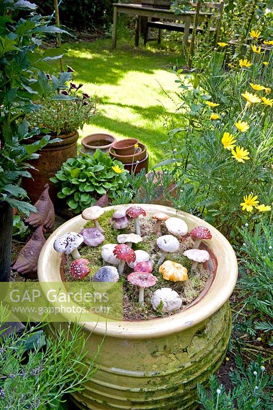 Ornamental, decorative mushrooms in planter 