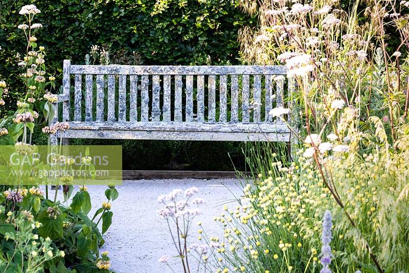 View through tall perennials to lichened bench 