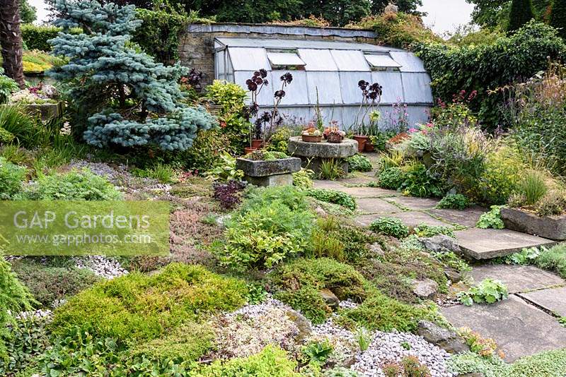 The Paved Garden with creeping plants including arabis, thymes, pulsatilla and alchemilla, stone troughs and pots of succulents at York Gate Garden, Adel in July.