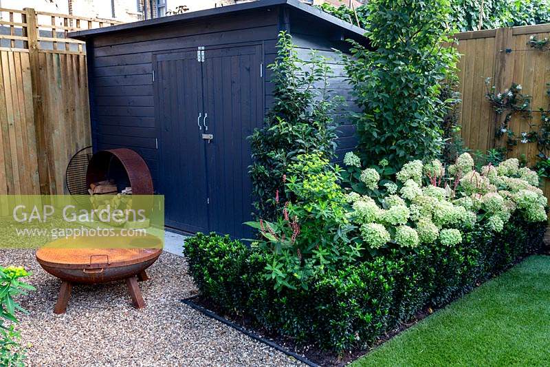 Gravel patio in West London garden with fire pit and grey wooden shed and metal hoop wood store - planting includes Hydrangea paniculata Little Lime, Persicaria Orange Field, Carpinus betulus Frans Fontaine, Euonymus Jean Hughes.