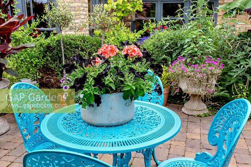 Garden designed by Nick Gough - blue table and chairs on patio with old saucepan container with Petunia Black Velvet and pink Pelargonium bedding.