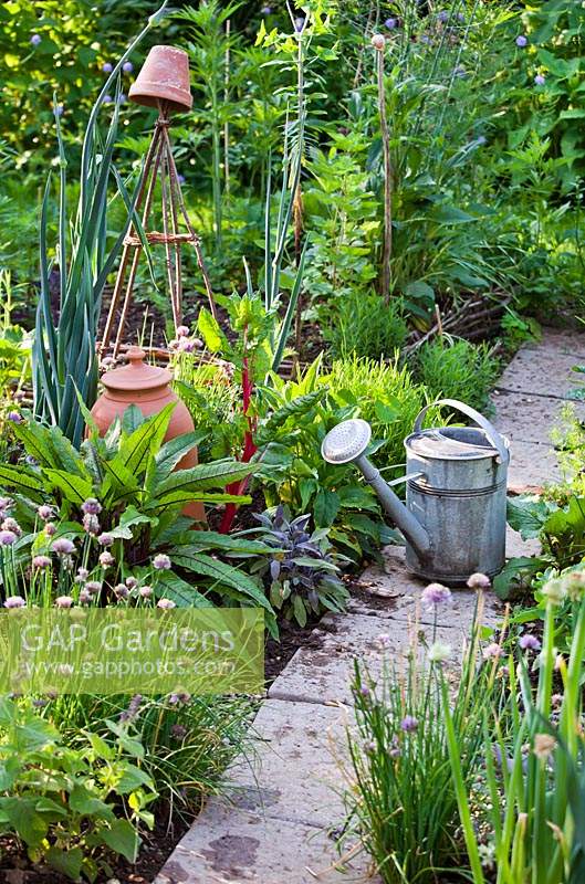 Watering can on paved path through herb and vegetable beds