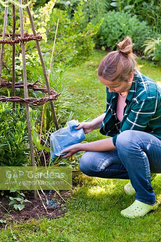 Woman applying slug pellets incorrectly by pouring them onto the ground, slug pellets should be laid down sparingly according to manufacturer's instructions

