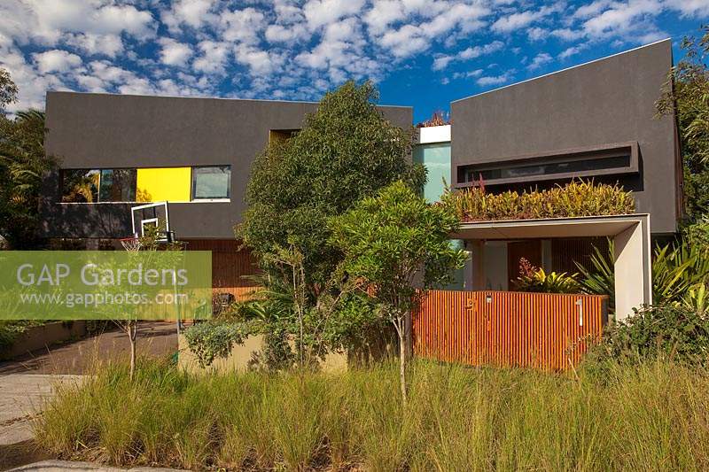 A wide view of a contemporary style house with small trees, a kerbside planting of grasses and a suspended garden planted with bromeliads.